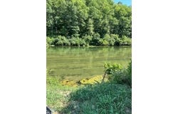 876 County Road 368, Dora, MO 65637