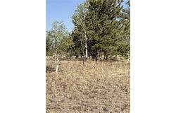 3031 McDowell Drive lot: 112, COMO, CO 80432