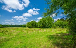 County Road 3311, Omaha, TX 75571