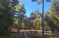 344 S Locust Avenue, White Cloud, MI 49349