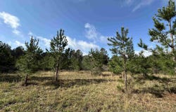 15 AC Snider Rd, Frisco City, AL 36445