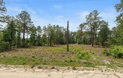 705 HICKORY NUT Trail, Satsuma, FL 32189