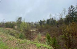 123 Deckers Point Rd, Marion Center, PA 15759