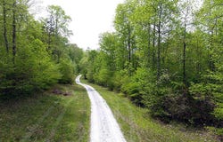 Tract 5 Dogwood Drive, Whitley City, KY 42653