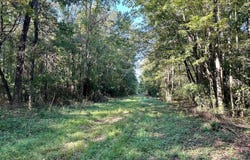 NE Williams Street, Brookhaven, MS 39601