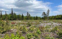 10W Mountain View Drive, Temple, ME 04984