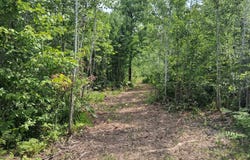 Parcel 1 County Road T, Danbury, WI 54830