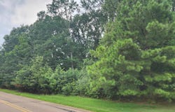 HAYES Rd, Arlington, TN 38002