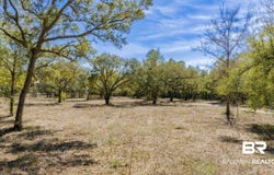 County Road 99, Lillian, AL 36549