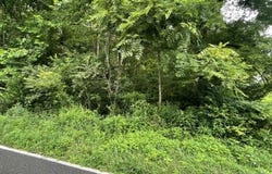 Drill Road, Honaker, VA 24260