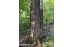 2000 Sparks Road, Lake Cormorant, MS 38641