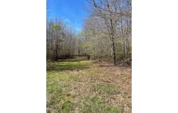 540 CR 2830, Wells, TX 76055