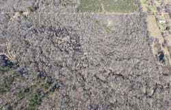 County Road 3207, DeKalb, TX 75559