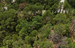 147 Kamaiki Dr, Bastrop, TX 78602