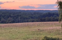 Coonhunters Rd, Golconda, IL 62938