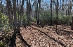 Cliff Park Rd, Monterey, TN 38574