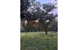 Highway 65 lot: 3, Tallulah, LA 71282