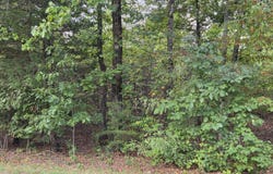 Tract 3 Edwardsville Rd, Hardy, VA 24101