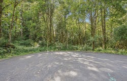 E BRIGHTWOOD LOOP Rd, Brightwood, OR 97011