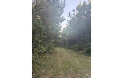 McManus Road, Lacey, AR 71655