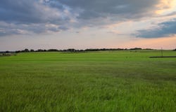 County Road 138, Comanche, TX 76442