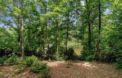 25 Lakes Edge Way, Marietta, SC 29661