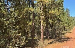 Whitetail Lane, Bonanza, OR 97623