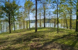 JONATHAN Dr lot: 94, Arley, AL 35541