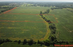 Graessle Tract 2, London, OH 43140