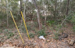 W SEVENTH Avenue, UMATILLA, FL 32784