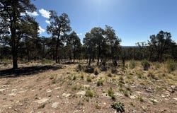 Warbler Way, Pecos, NM 87552