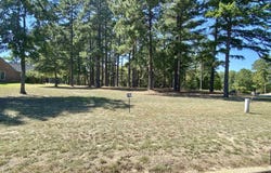 Easy St lot: 19, Frankston, TX 75763