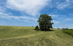 Potts Camp Rd, Smithville, TN 37166