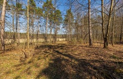 Prairie Road E, Osseo, WI 54758