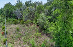 COUNTY ROAD 100A, Starke, FL 32091