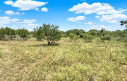 Langes Mill Rd, Doss, TX 78618