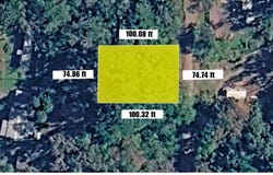 GOBBLER Road, Astor, FL 32102