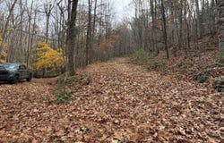 0 Spring Hill Rd, Healing Springs, VA 24445
