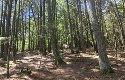 STAEHLING RD lot: 1, Three Lakes, WI 54562