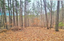 Pine Springs Dr, Jefferson, NC 28640