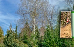 Horoscope Road lot: 7, Pelkie, MI 49958