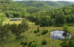 Madison CR 1425, Eureka Springs, AR 72632