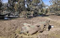 1811 Placitas Trail, Farmington, NM 87401