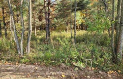 River Road, Hannawa Falls, NY 13647