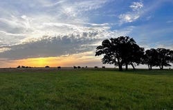 9484 State Highway 36 E, Cross Plains, TX 76443