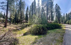 325 Eureka Springs Drive, Blairsden, CA 96103