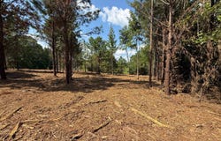 Williams Road, Wadley, AL 36276