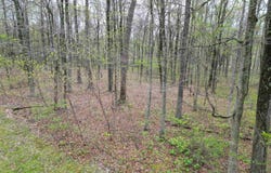 Tract 4 E Pine Road Common, Bloomfield, IN 47424