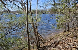Longview Estates Dr lot: 5, Goodview, VA 24095
