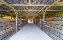 5800 SE 145TH STREET, SUMMERFIELD, FL 34491